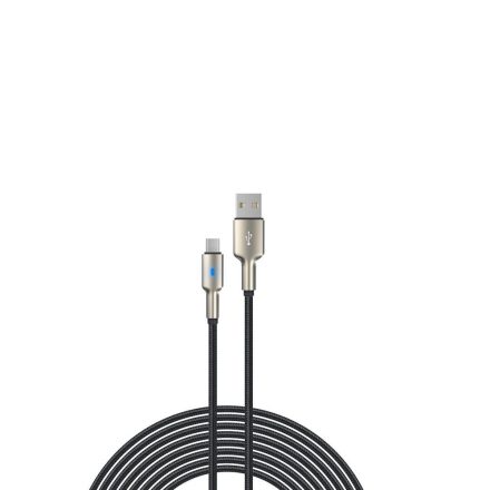 DEVIA EC316 Bubble Fish Zinc Aloy 2.4A USB Type-C 1M Adatkábel - Fekete